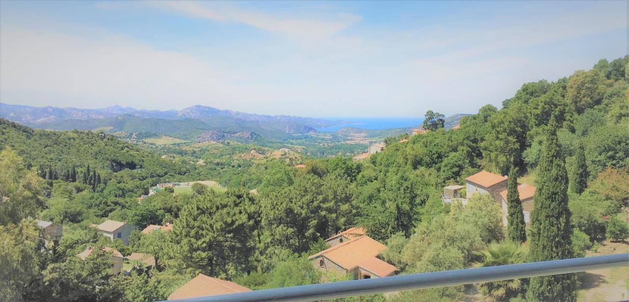 Villa A Casa Di Campa Oletta  Esterno foto