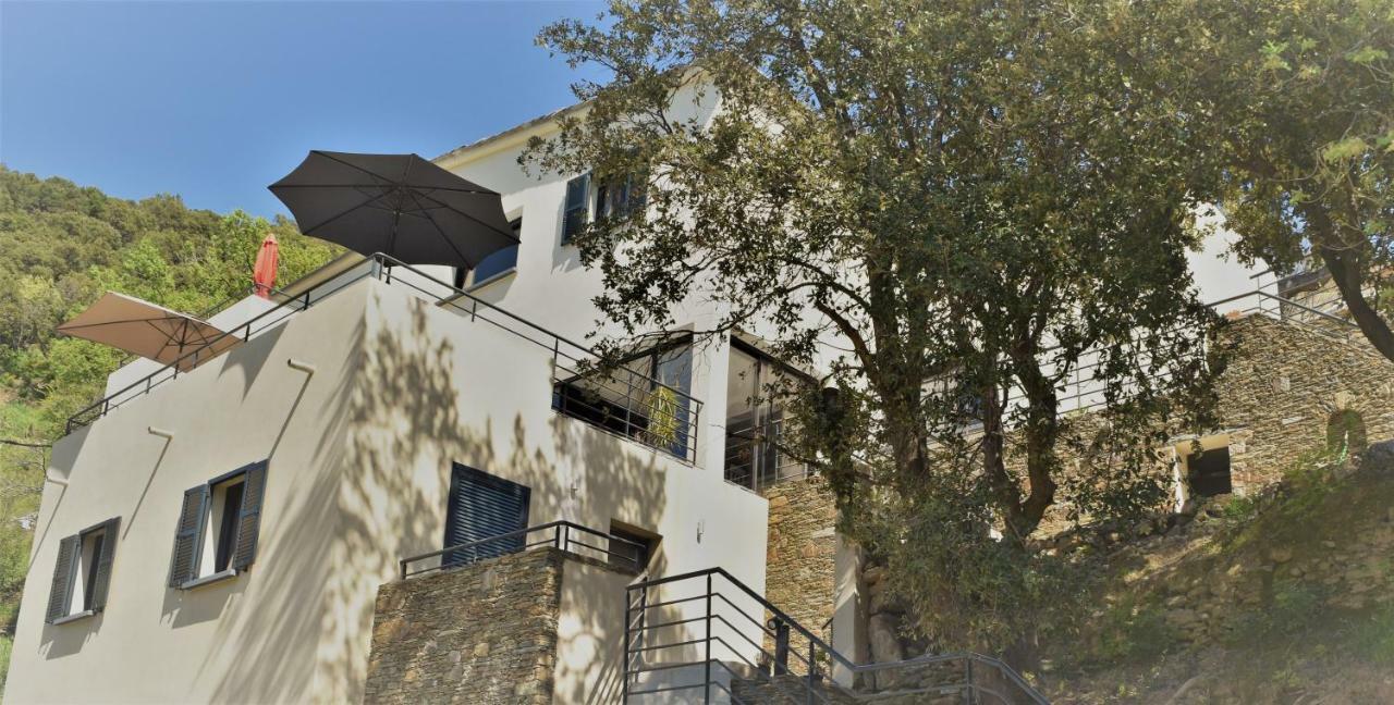 Villa A Casa Di Campa Oletta  Esterno foto